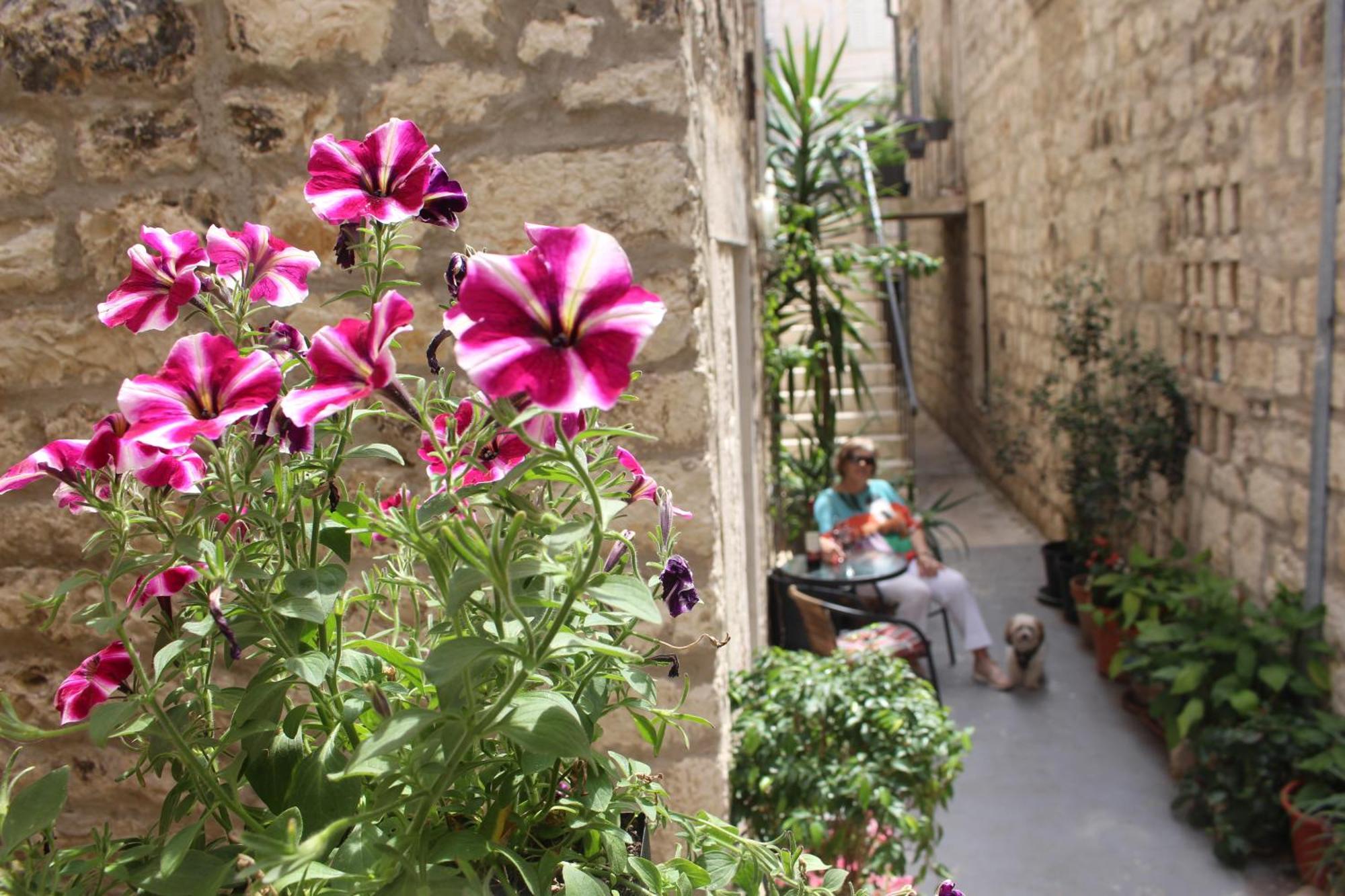 Street Garden Apartment Χβαρ Εξωτερικό φωτογραφία
