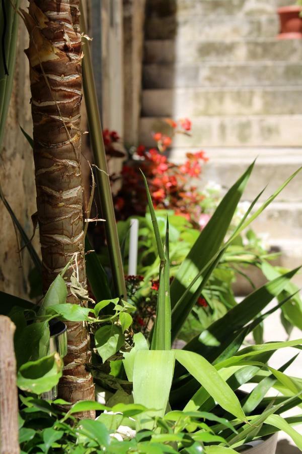 Street Garden Apartment Χβαρ Εξωτερικό φωτογραφία